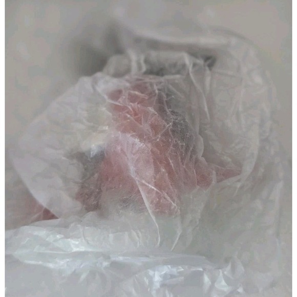 NIB Fuecoco 2024 Christmas Ornament POKEMON CENTER Limited Edition Retail $50 - Picture 7 of 10